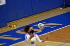 Women’s VB intersquad  Women’s Volleyball inter-squad match. : Women’s Volleyball, VB, inter squad, intersquad